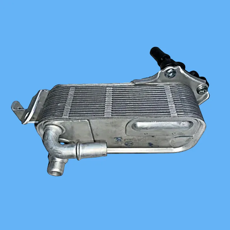 BMW F20 F30 Şamzıman Yağ Soğutucusu 17217600553